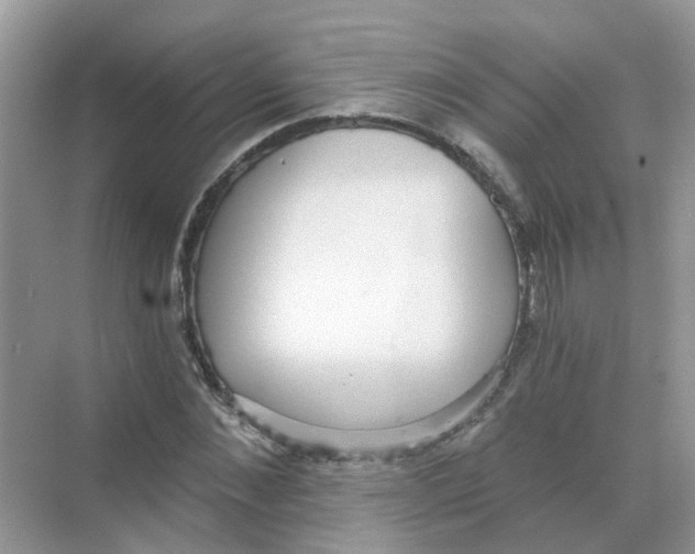 X0000068260876200605121817