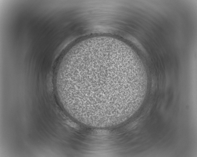 X0000068260878200605121817