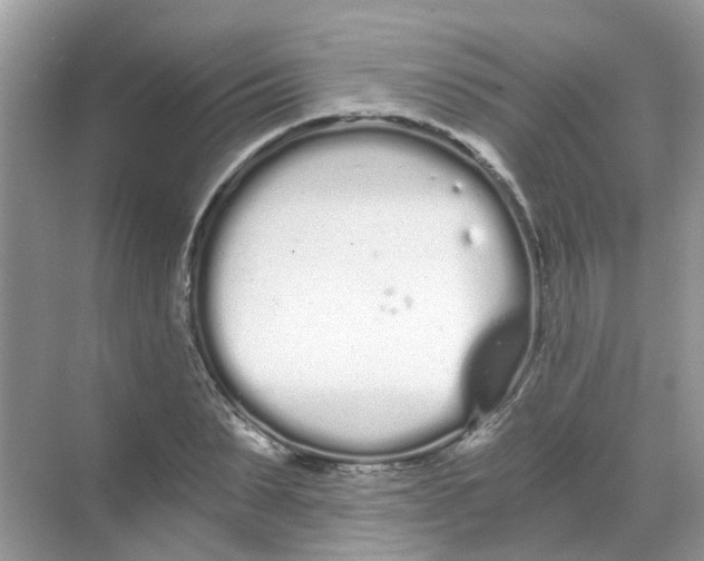 X0000068260879200605121817