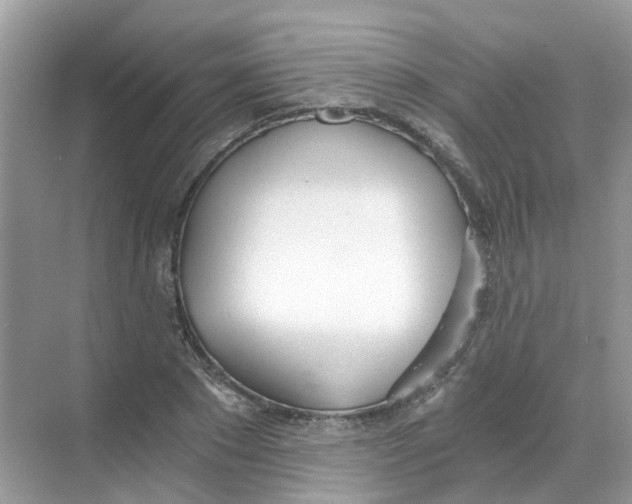 X0000068260881200605121817