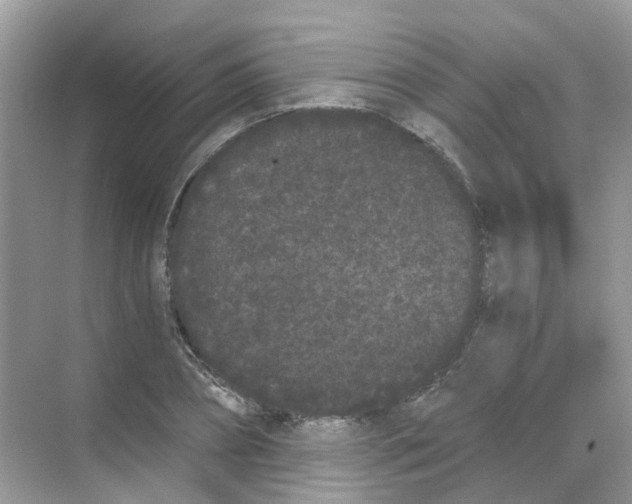 X0000068260882200605121817