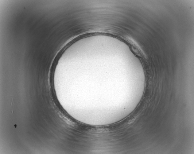 X0000068260884200605121817