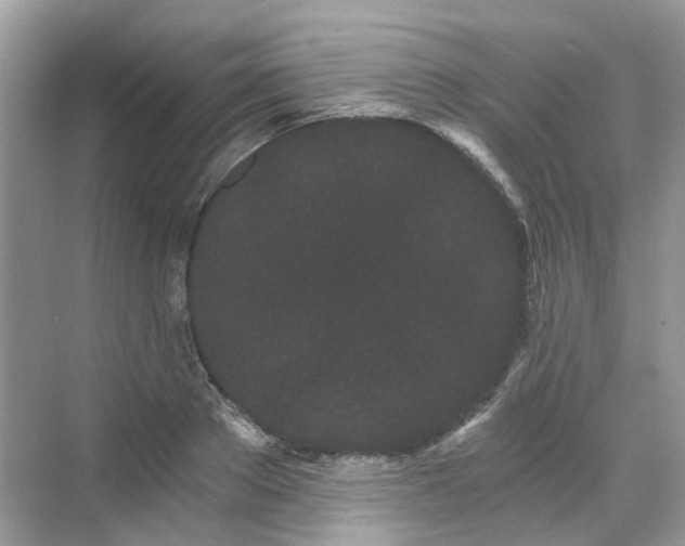 X0000068260889200605121817