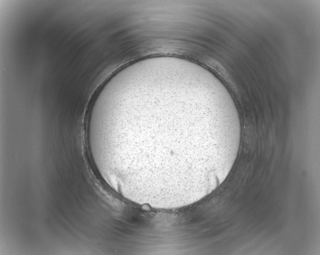 X0000068260890200605121817