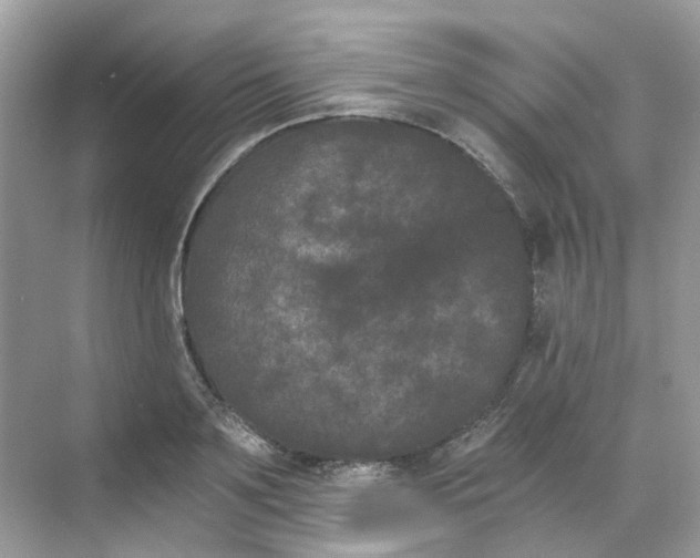 X0000068260891200605121817