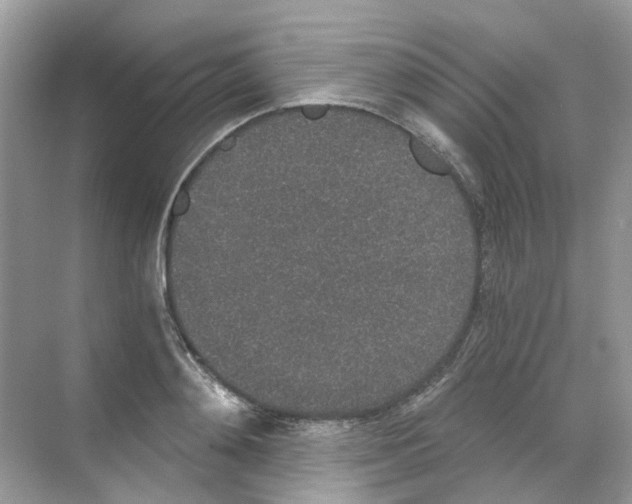 X0000068260892200605121817