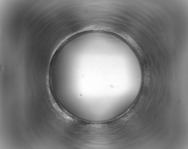 X0000068260896200605121817