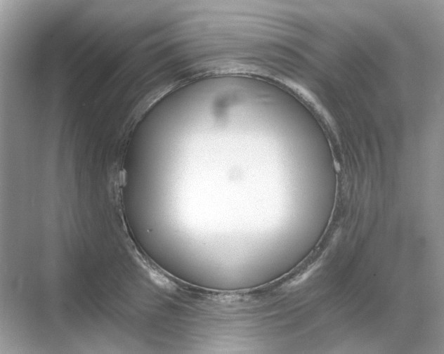 X0000068260897200605121817