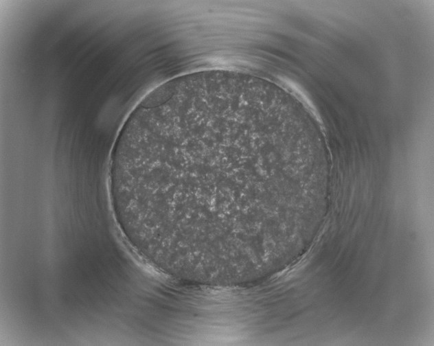 X0000068260899200605121817