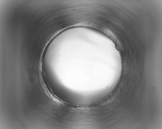 X0000068260900200605121817