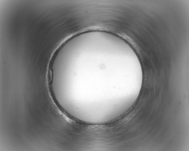 X0000068260902200605121817