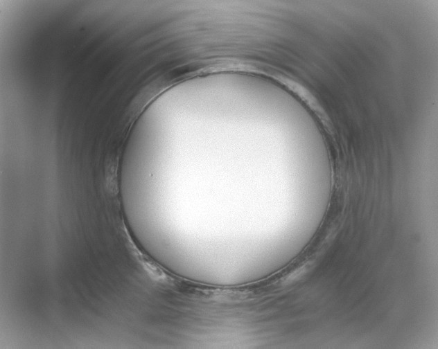 X0000068260905200605121817