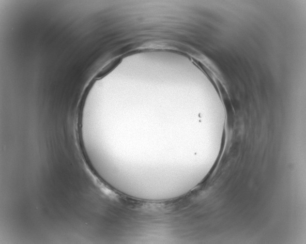 X0000068260909200605121817