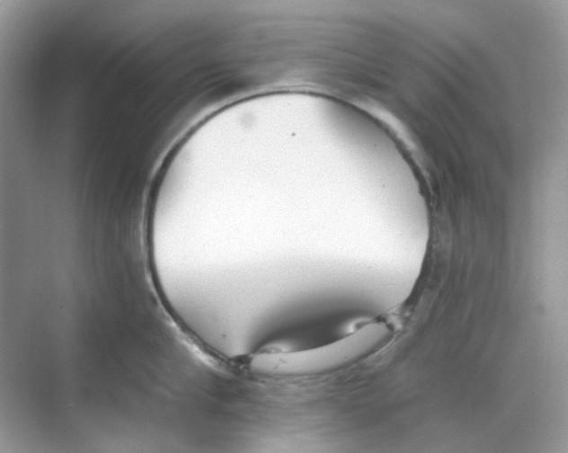 X0000068260910200605121817