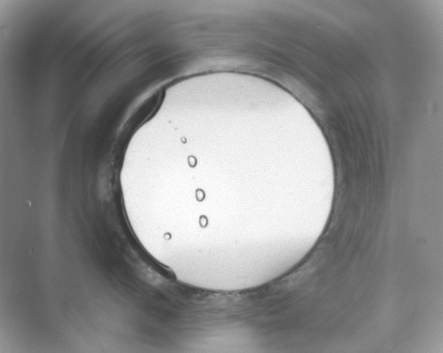 X0000068260912200605121817