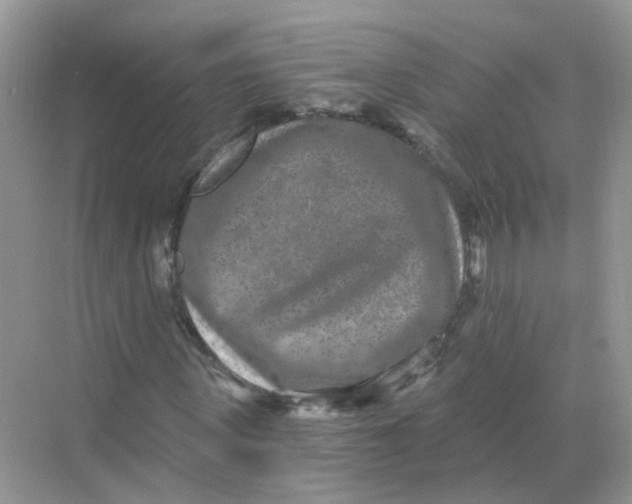 X0000068260915200605121816