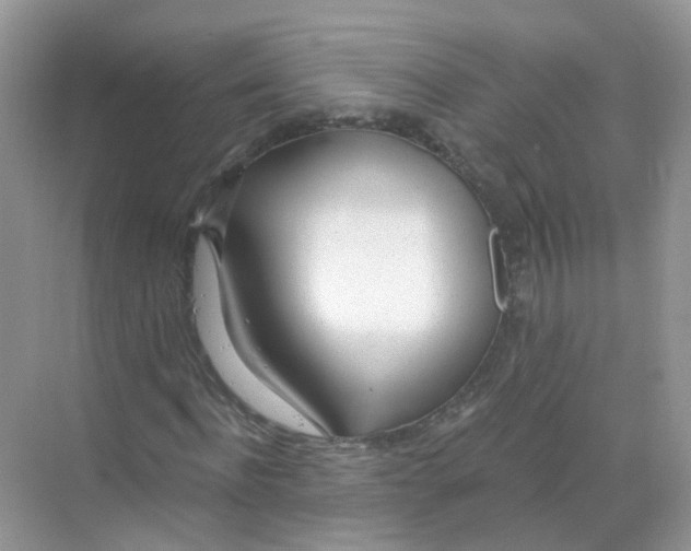 X0000068260916200605121816