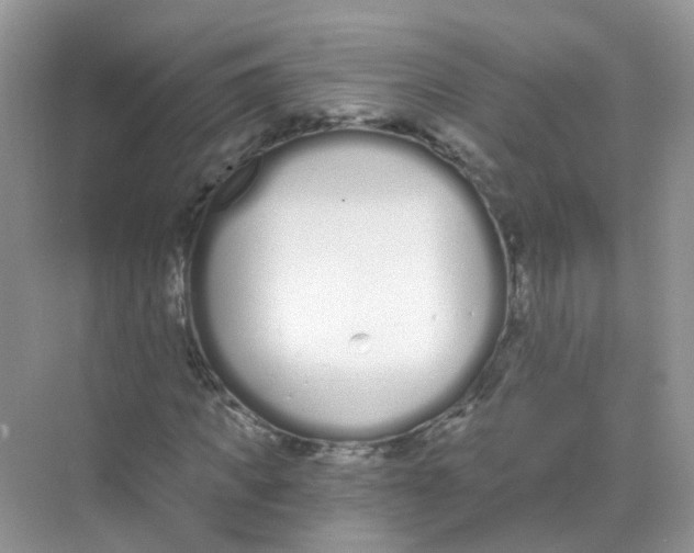 X0000068260917200605121816