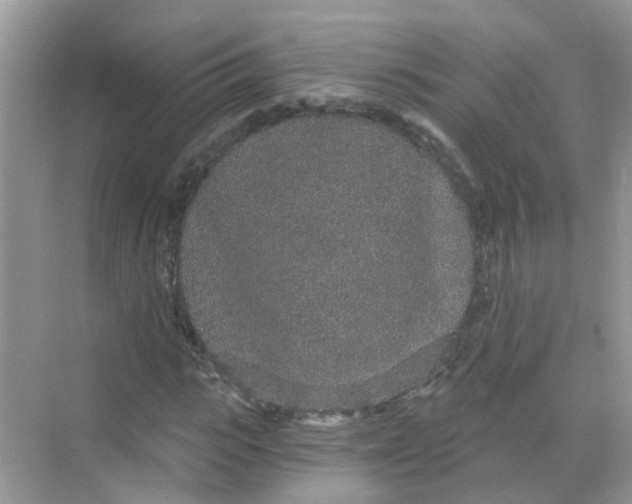 X0000068260919200605121816