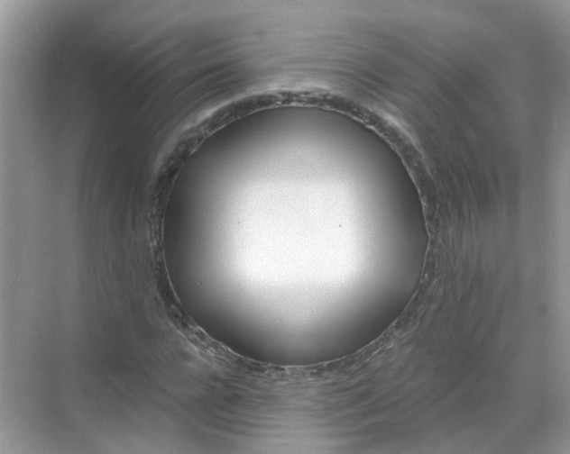 X0000068260920200605121816