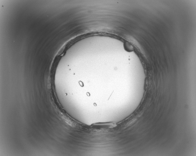 X0000068260924200605121816