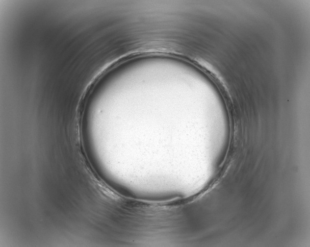 X0000068260925200605121816