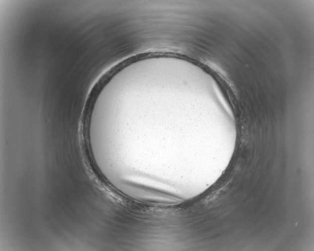 X0000068260928200605121816