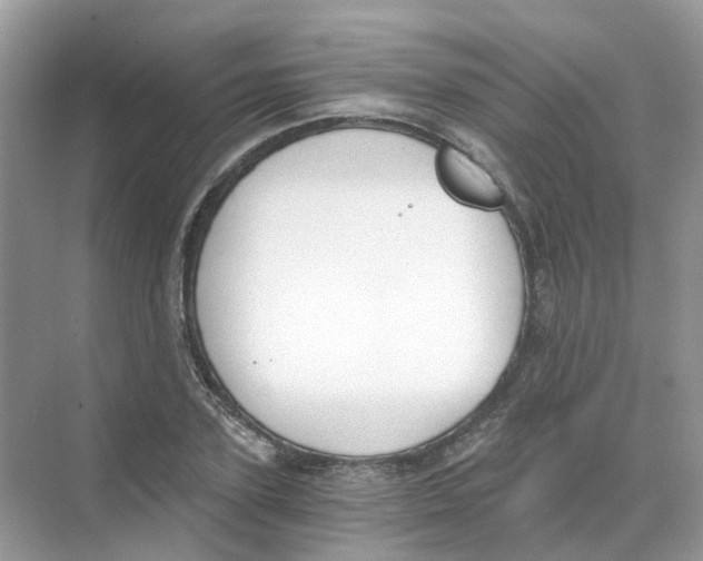 X0000068260931200605121816