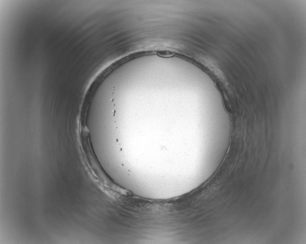 X0000068260936200605121816