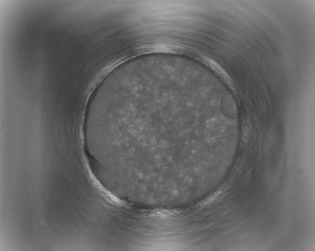 X0000068260938200605121816