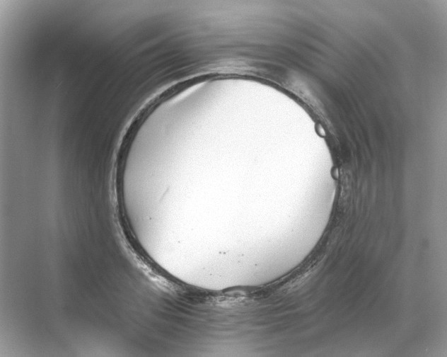 X0000068260939200605121816