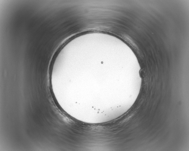 X0000068260940200605121816