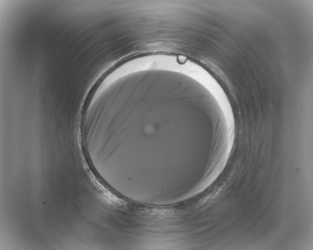 X0000068260941200605121816