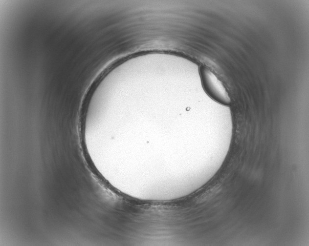 X0000068260942200605121816