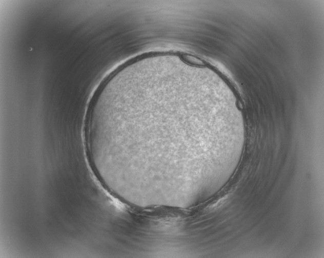 X0000068260943200605121816