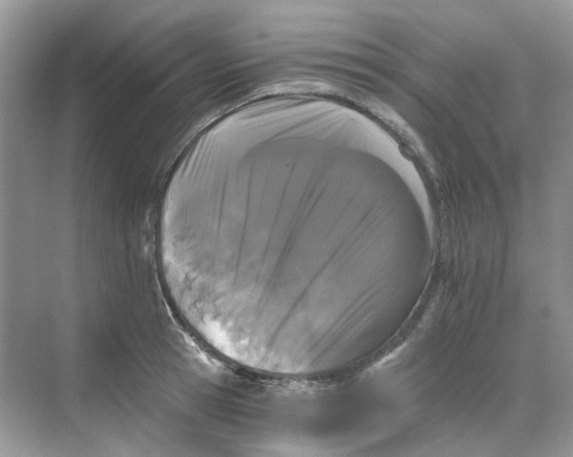 X0000068260945200605121816