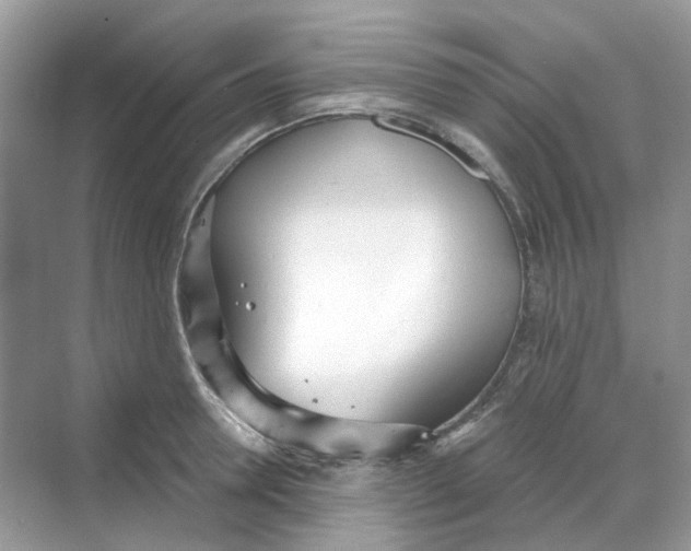 X0000068260946200605121816