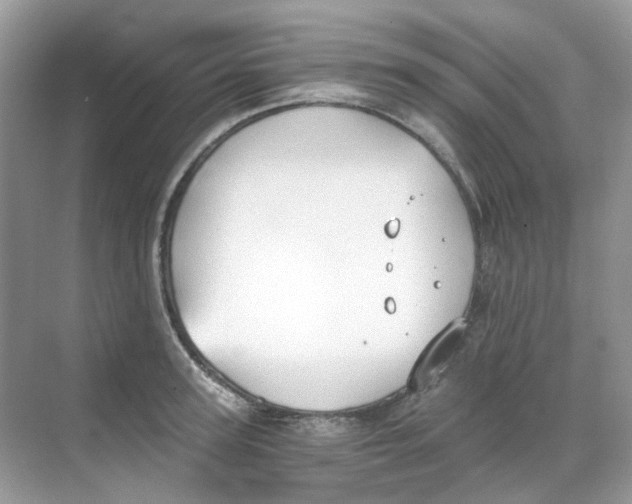 X0000068260947200605121816