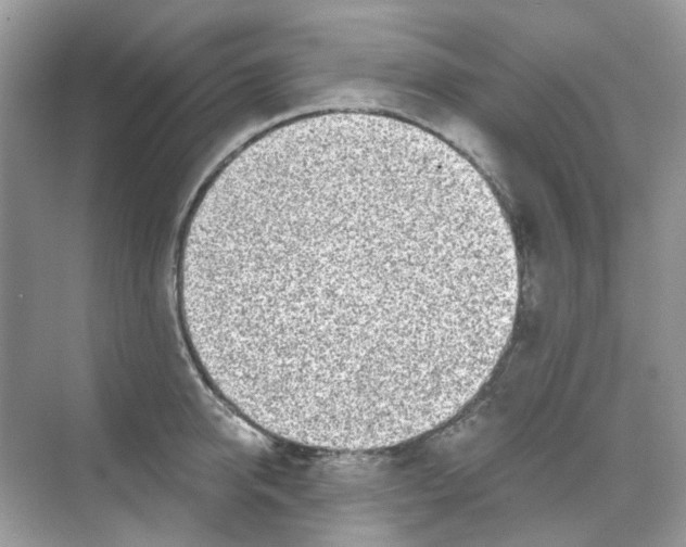 X0000068260950200605121817