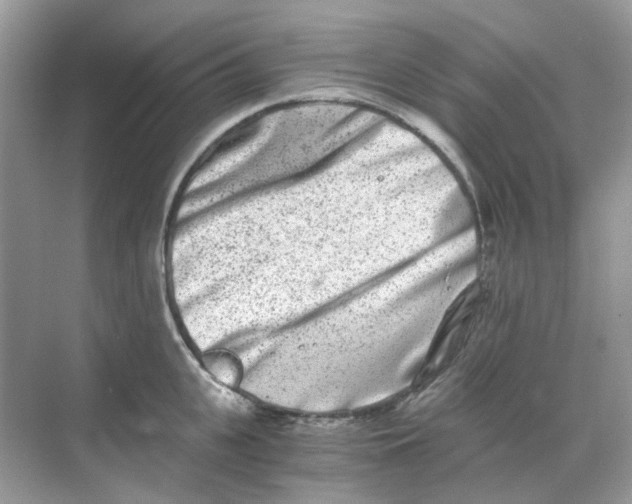 X0000068260951200605121817