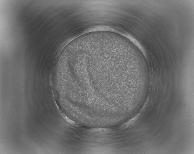 X0000068260953200605121817