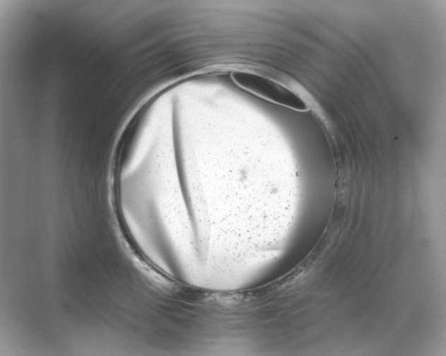 X0000068260955200605121817