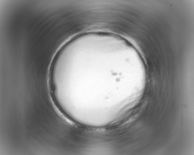 X0000068260957200605121817