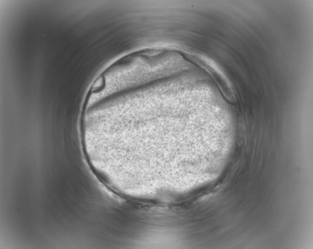 X0000068260959200605121817