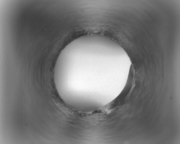 X0000068260961200605121816