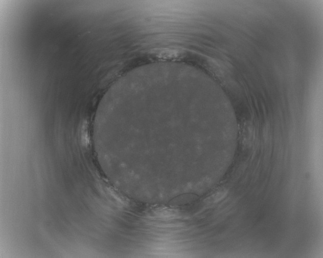 X0000068260962200605121816