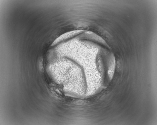 X0000068260963200605121816