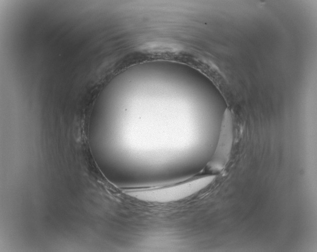 X0000068260965200605121816