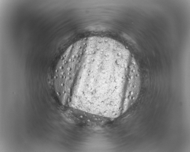 X0000068260966200605121816