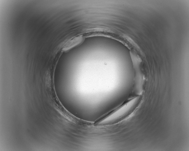 X0000068260969200605121816